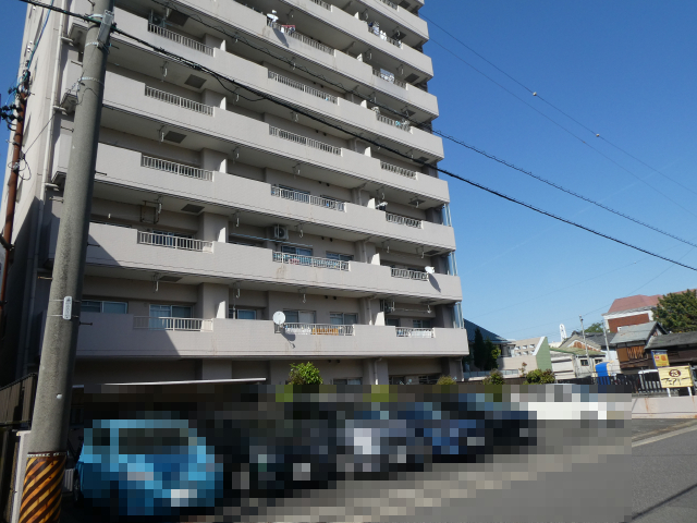 3033画像
