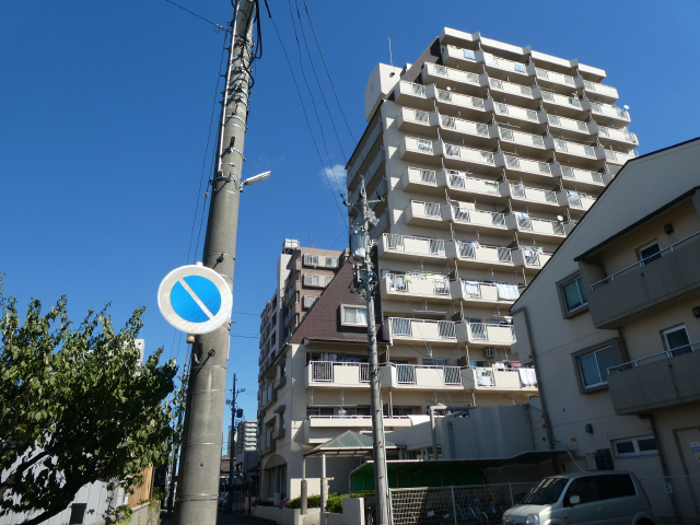 3063画像